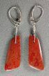 Orange/Red Agatized Dinosaur Bone (Gembone) Earrings #54076-1